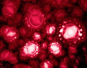 mononuclear cells