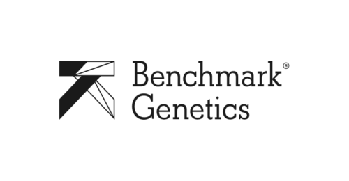 Supplier Benchmark Genetics logo