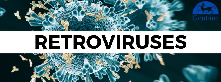 What are retroviruses?
